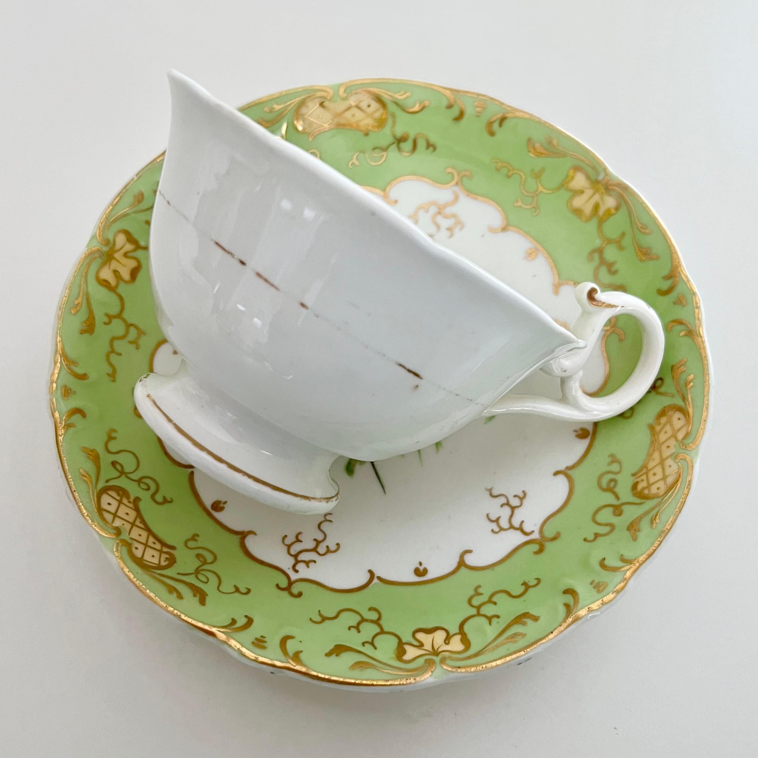 H & R Daniel Porcelain Teacup, Apple Green with Pink Roses, Rococo Revival C1840 8
