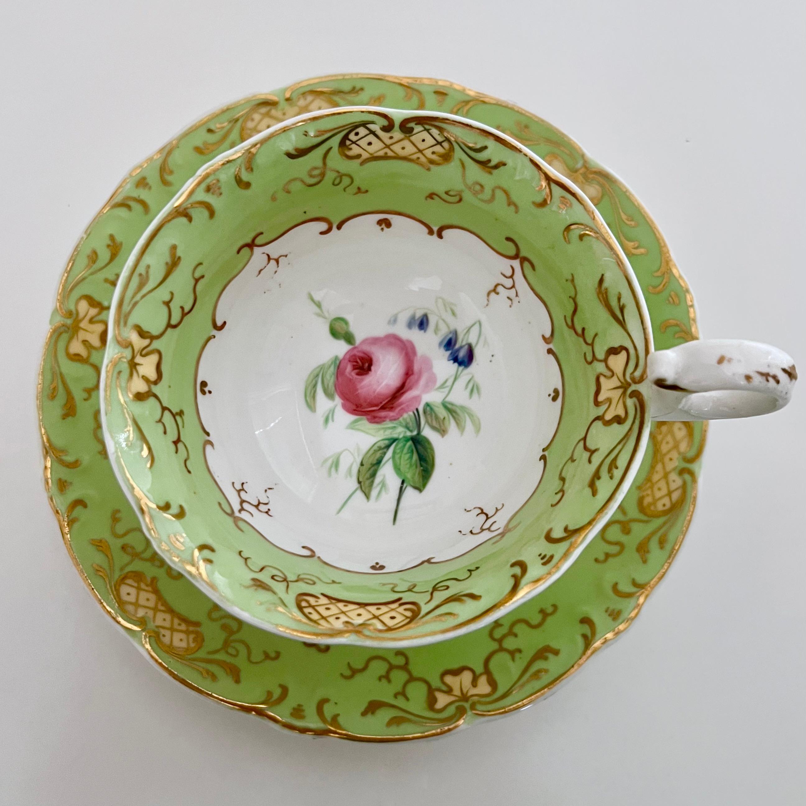 Hand-Painted H & R Daniel Porcelain Teacup, Apple Green with Pink Roses, Rococo Revival C1840