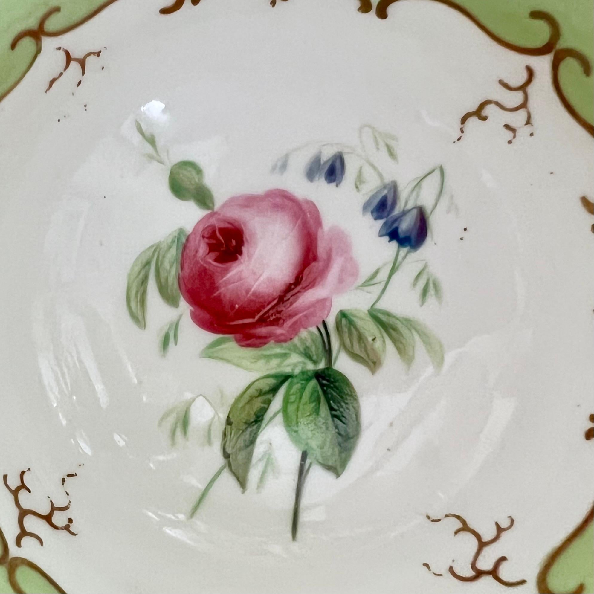 H & R Daniel Porcelain Teacup, Apple Green with Pink Roses, Rococo Revival C1840 3
