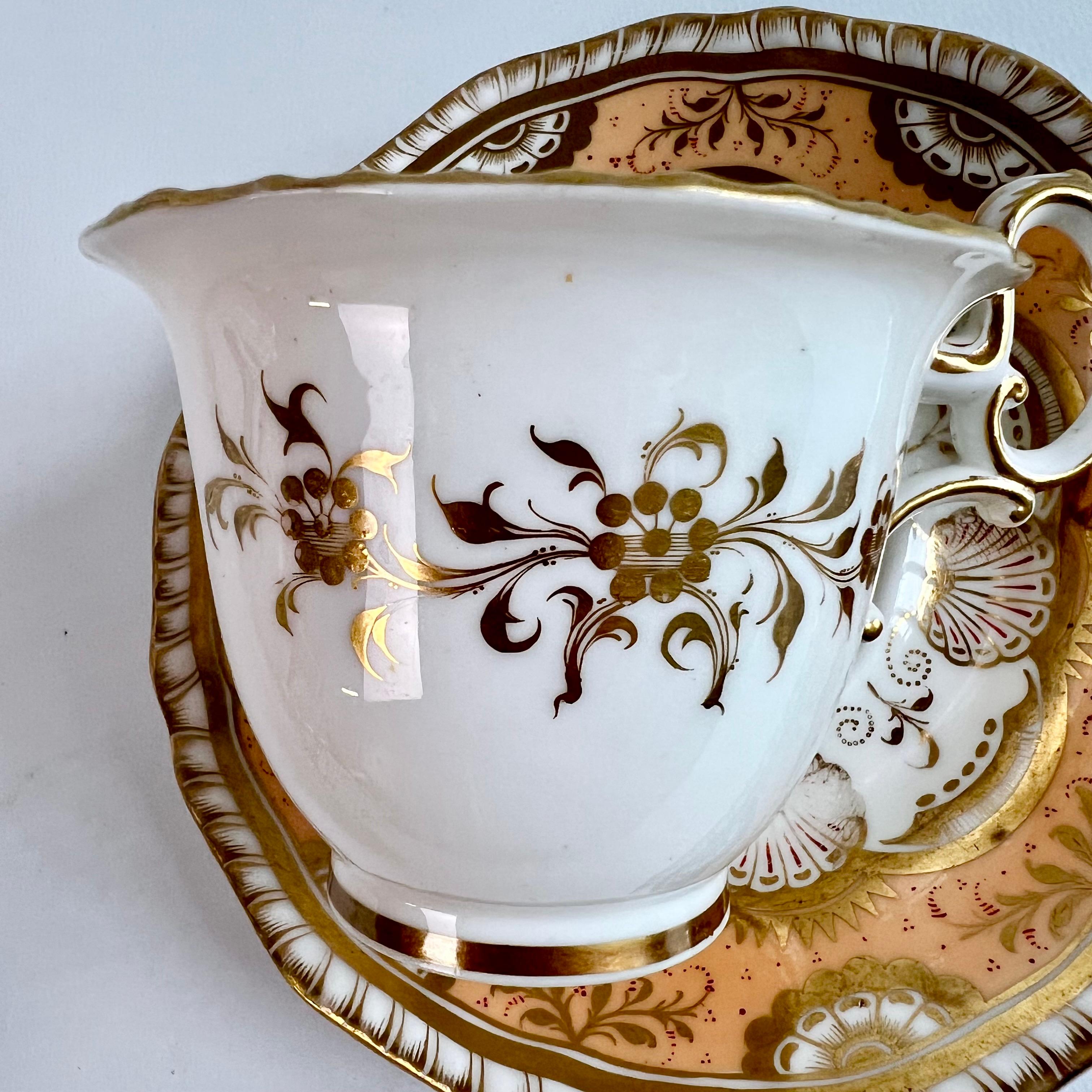 H & R Daniel Porcelain Teacup Trio, Peach and Gilt Shells, Regency ca 1825 8