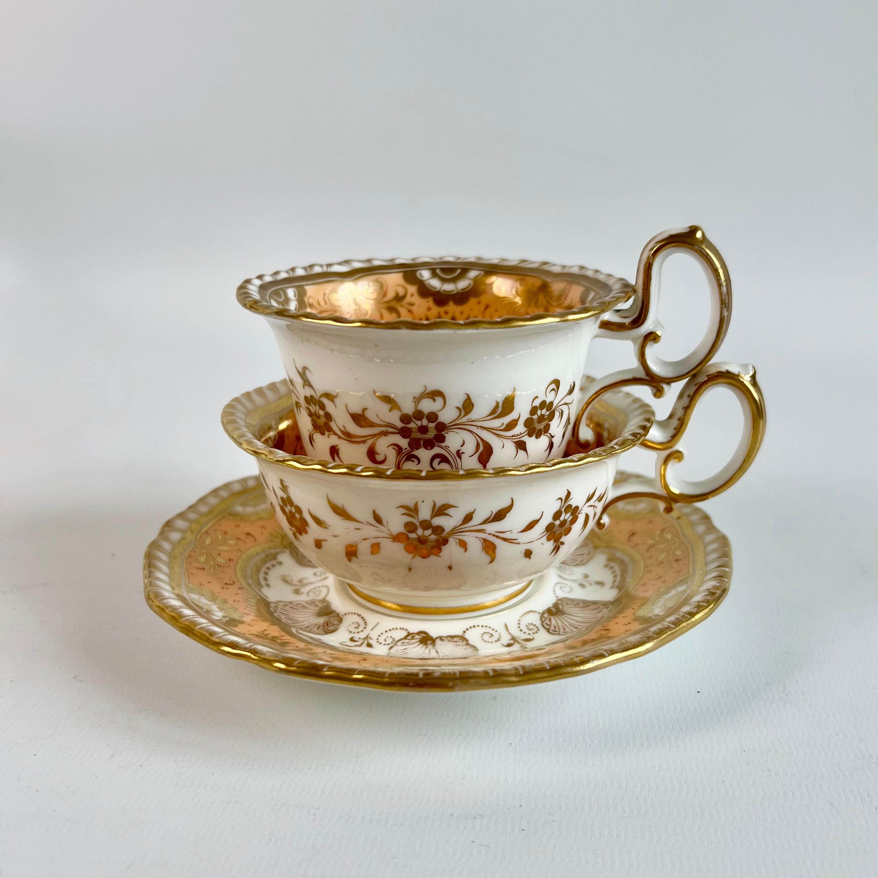 English H & R Daniel Porcelain Teacup Trio, Peach and Gilt Shells, Regency ca 1825