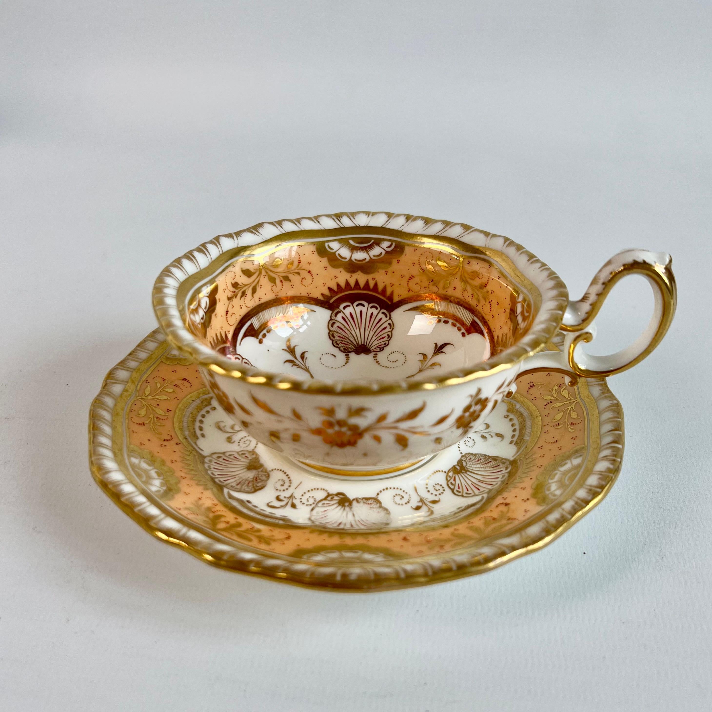 Hand-Painted H & R Daniel Porcelain Teacup Trio, Peach and Gilt Shells, Regency ca 1825
