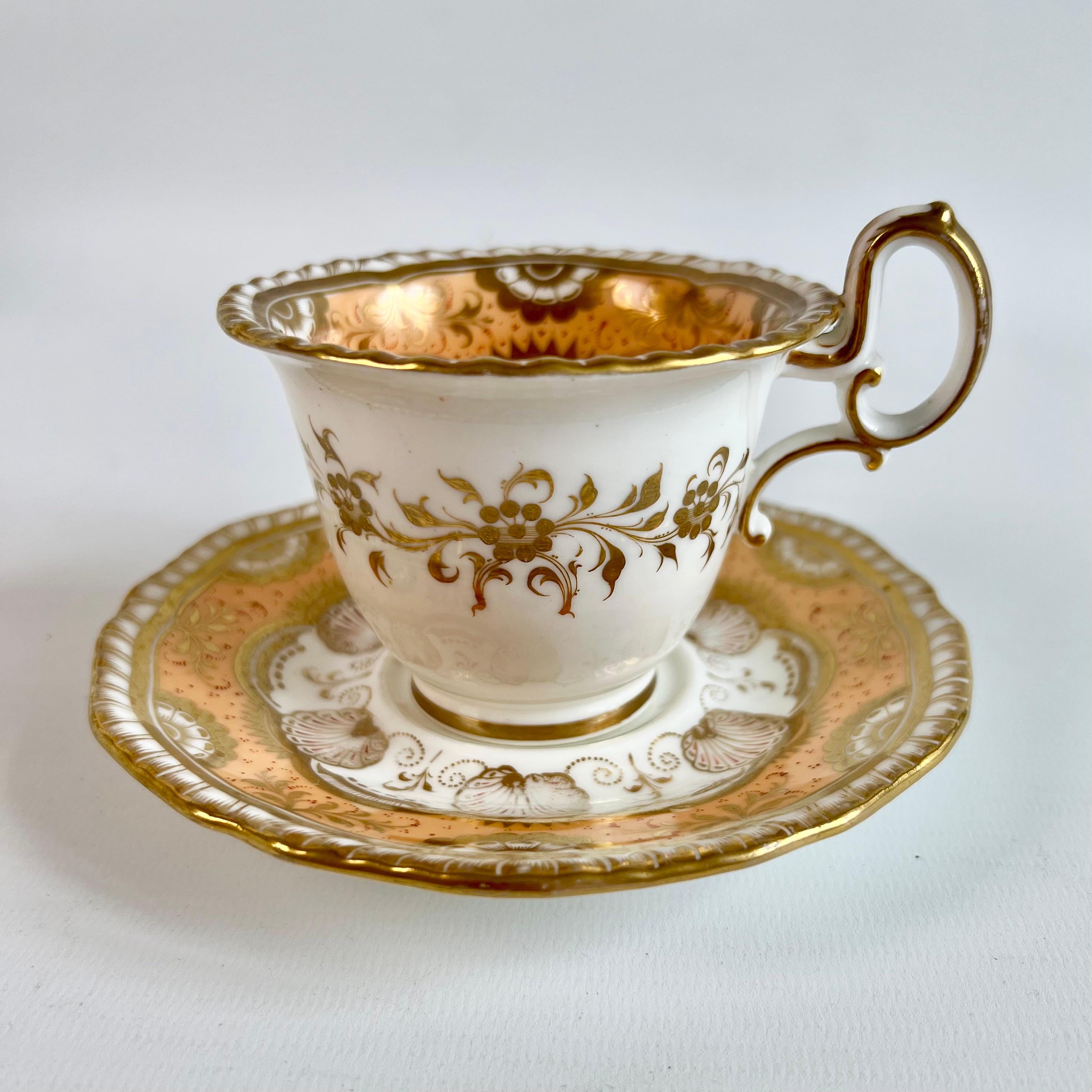 H & R Daniel Porcelain Teacup Trio, Peach and Gilt Shells, Regency ca 1825 In Good Condition In London, GB