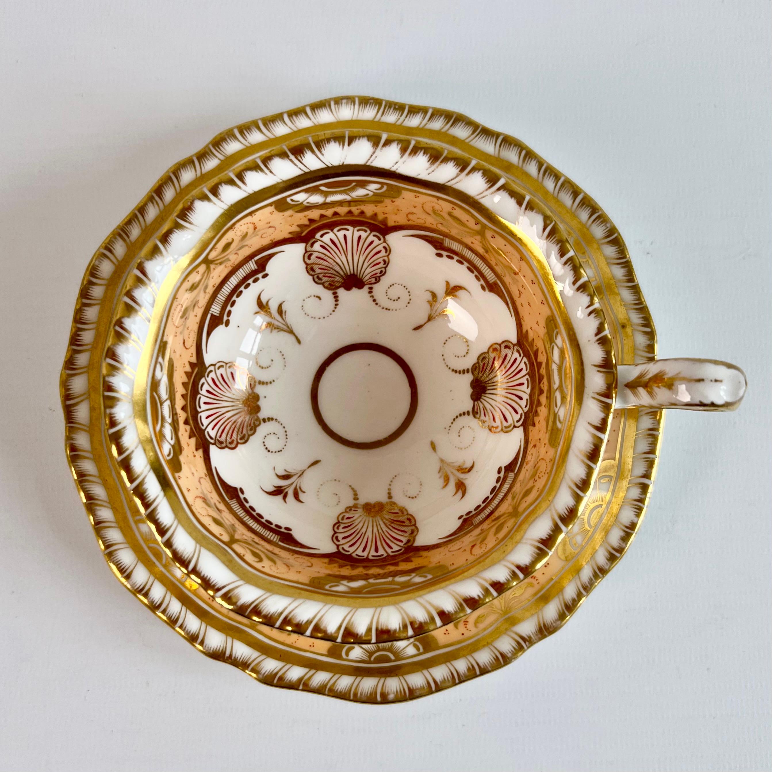 H & R Daniel Porcelain Teacup Trio, Peach and Gilt Shells, Regency ca 1825 2