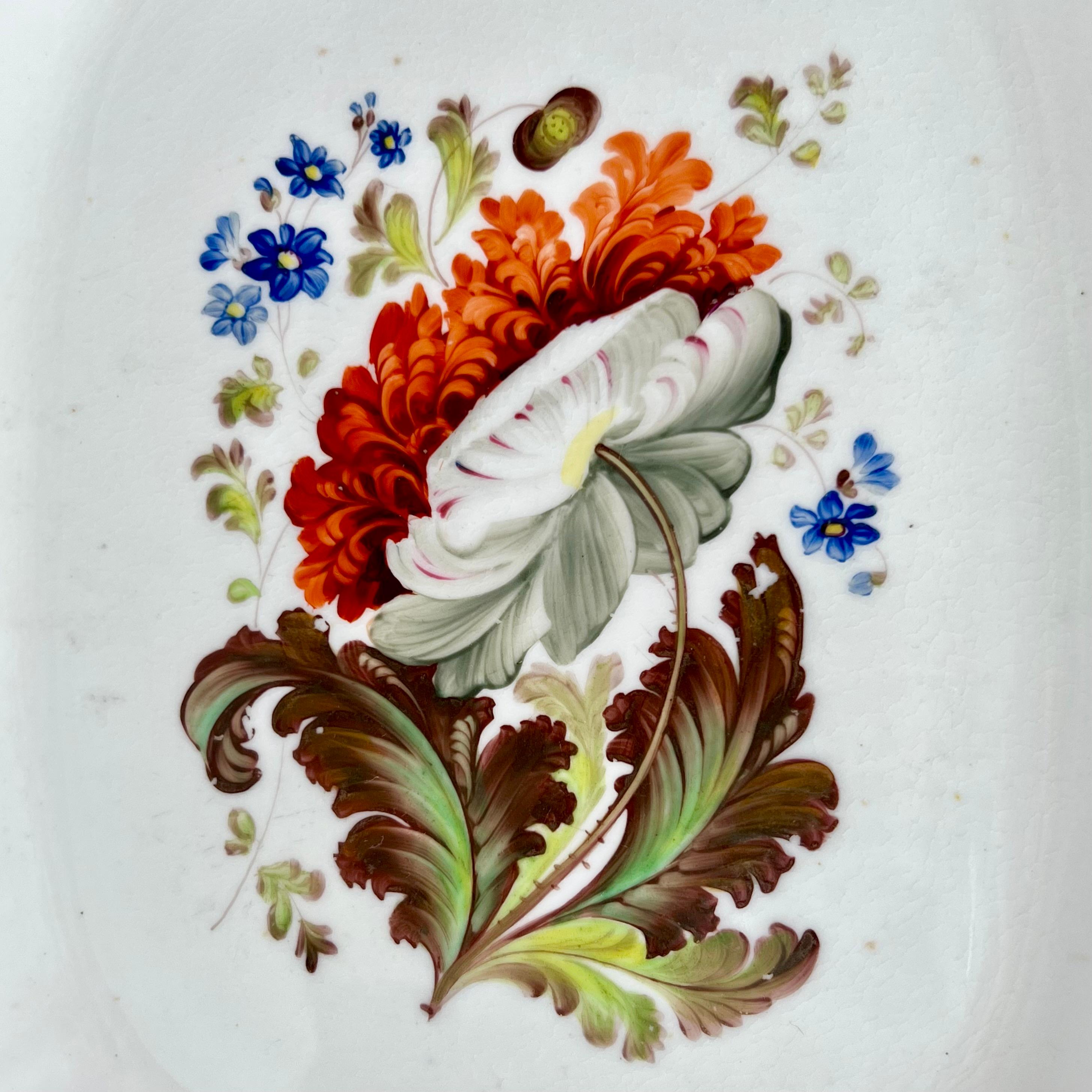English H & R Daniel Rectangular Dish, Shrewsbury Shape, Red Dahlia, Regency ca 1827 For Sale