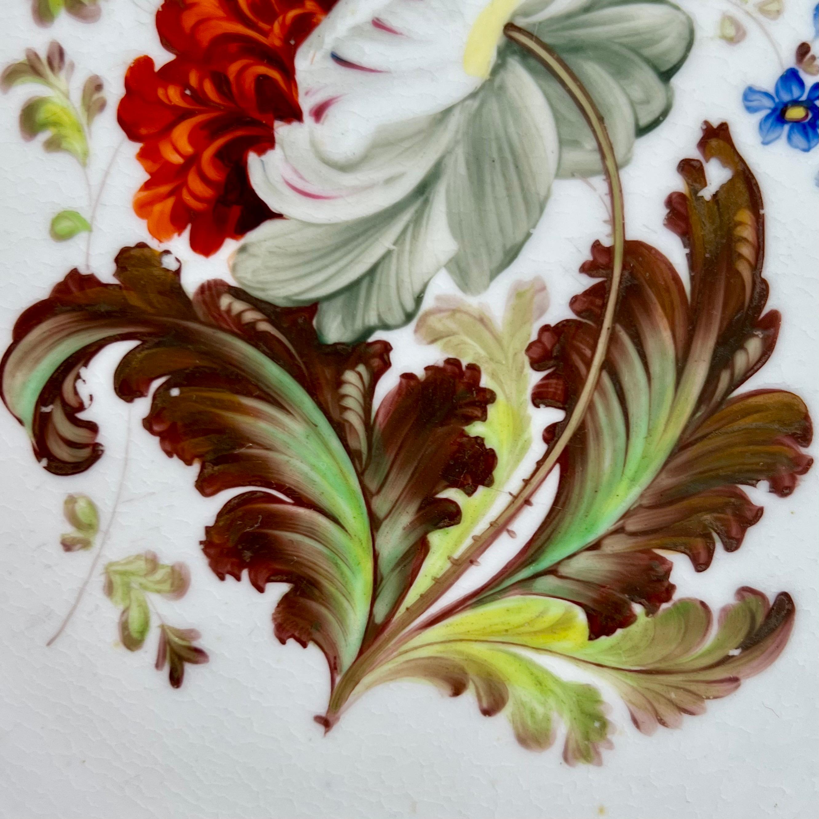 Porcellana H&R Daniel Piatto rettangolare, forma Shrewsbury, Dalia rossa, Regenza, 1827 ca. in vendita