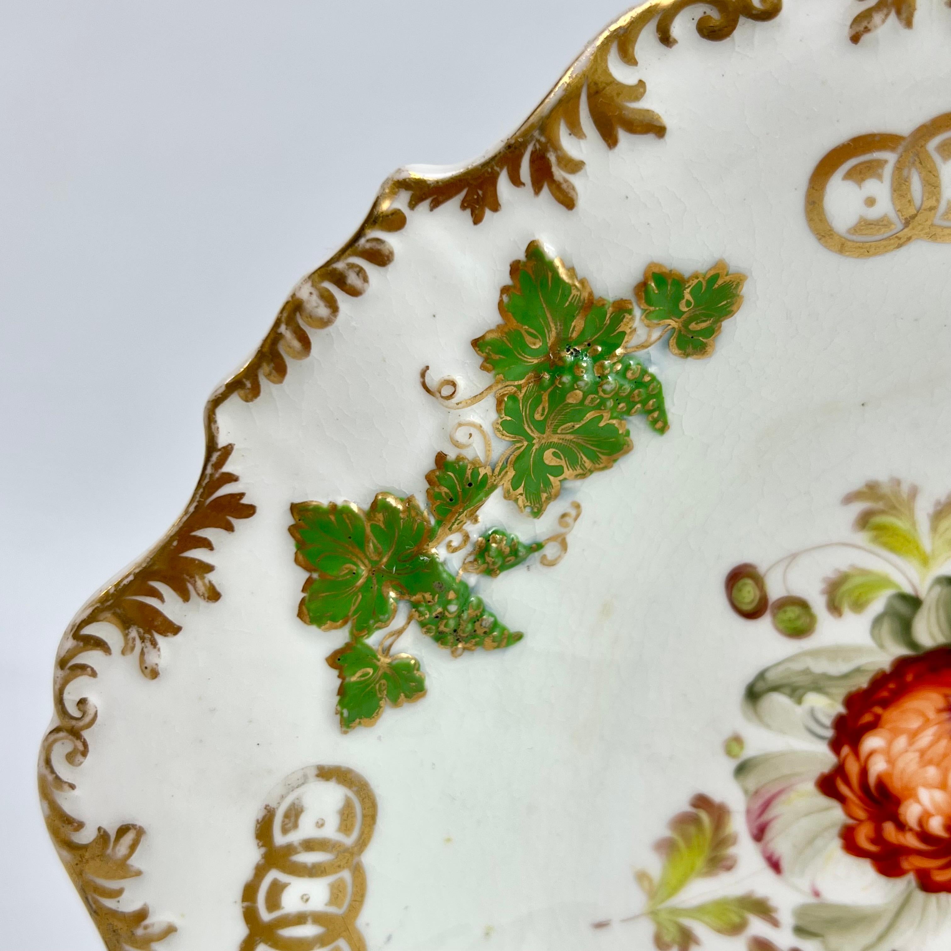 H & R Daniel Shell Dish, Shrewsbury Shape, Red Ranunculus, Regency Ca 1827 A/F 2