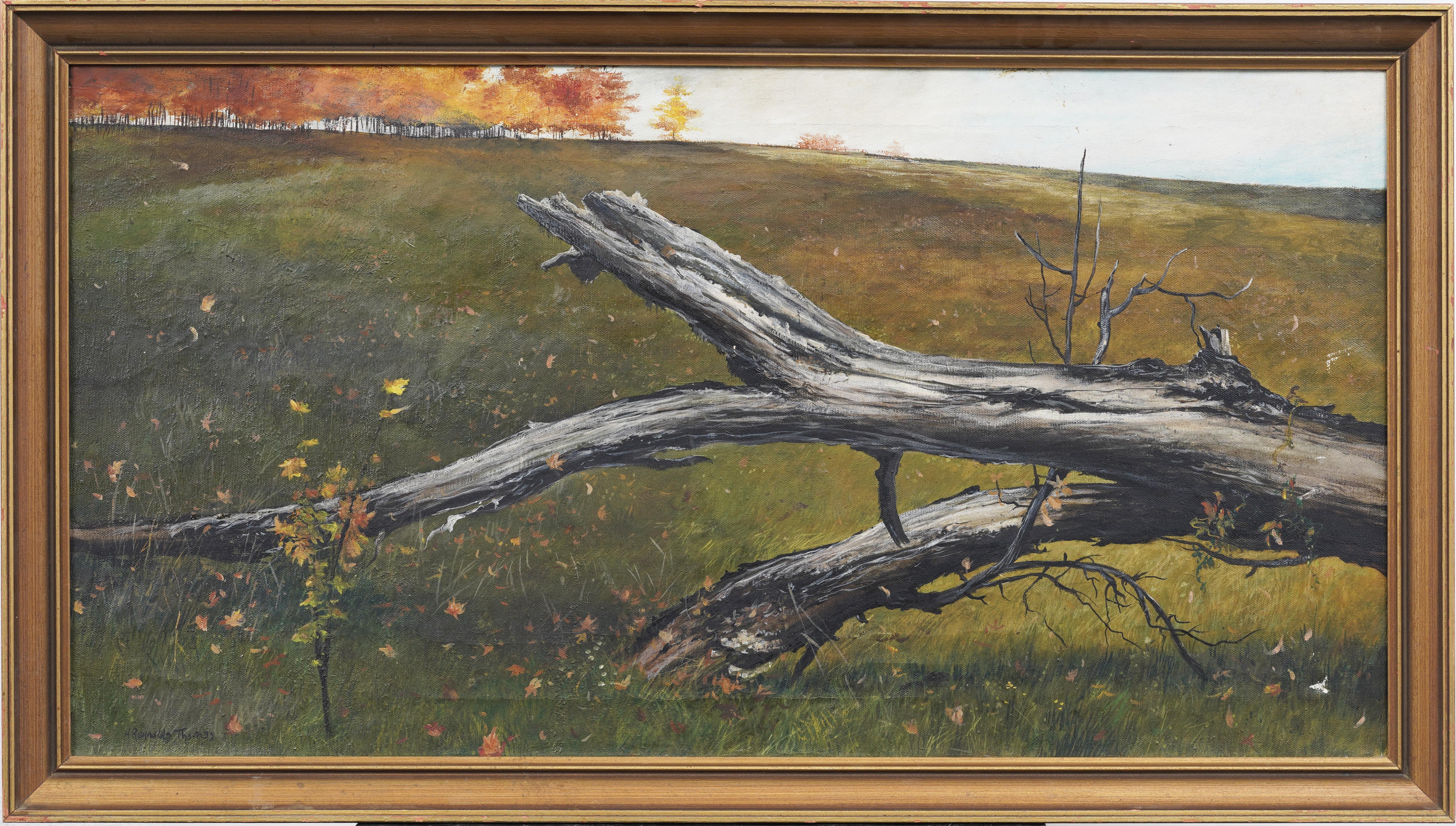 Antique American Realist Downed Tree Landscape Original Signed Oil Painting