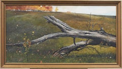 Antique American Realist Downed Tree Landscape Original Signed Oil Painting