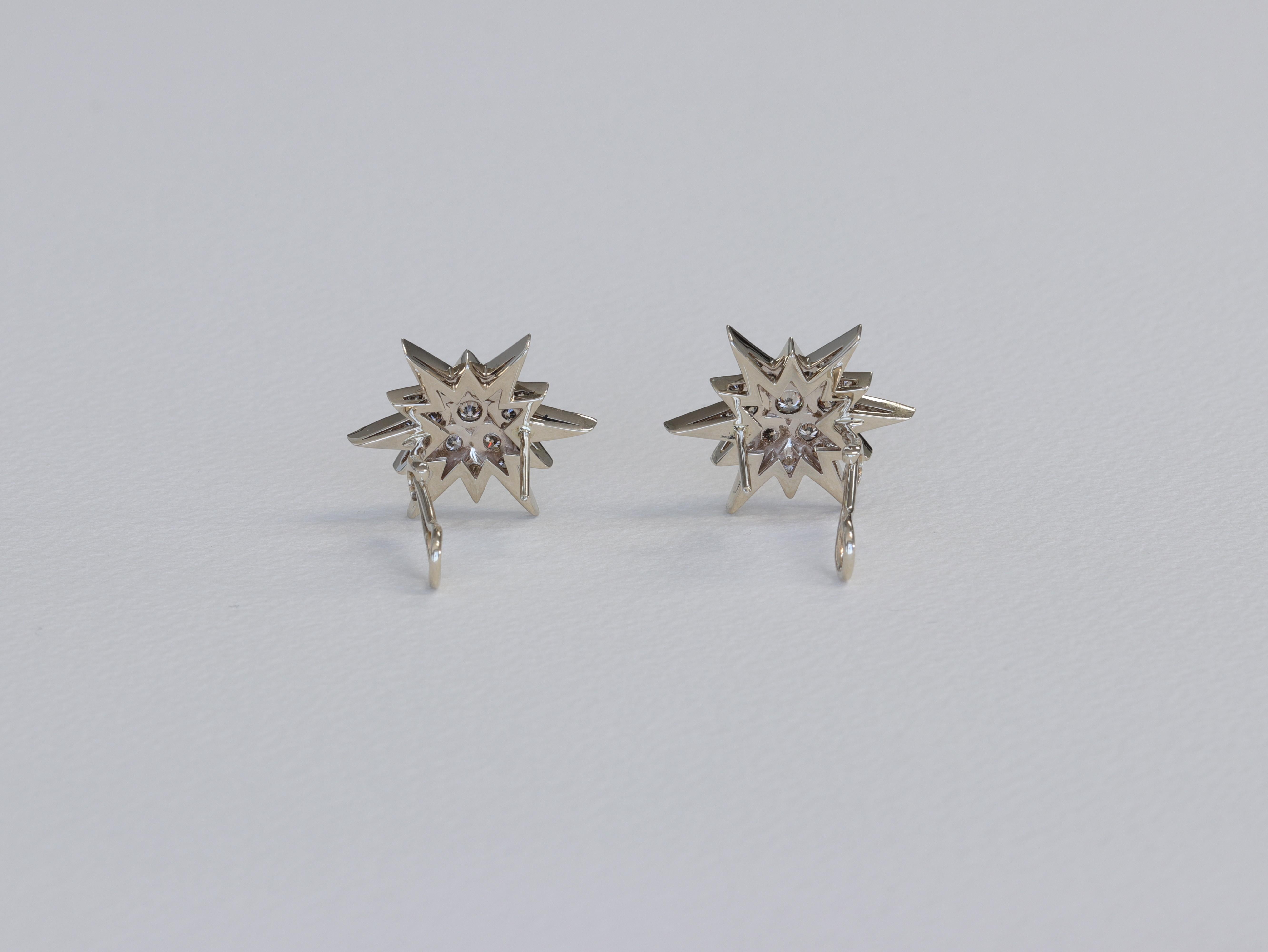 h stern earrings