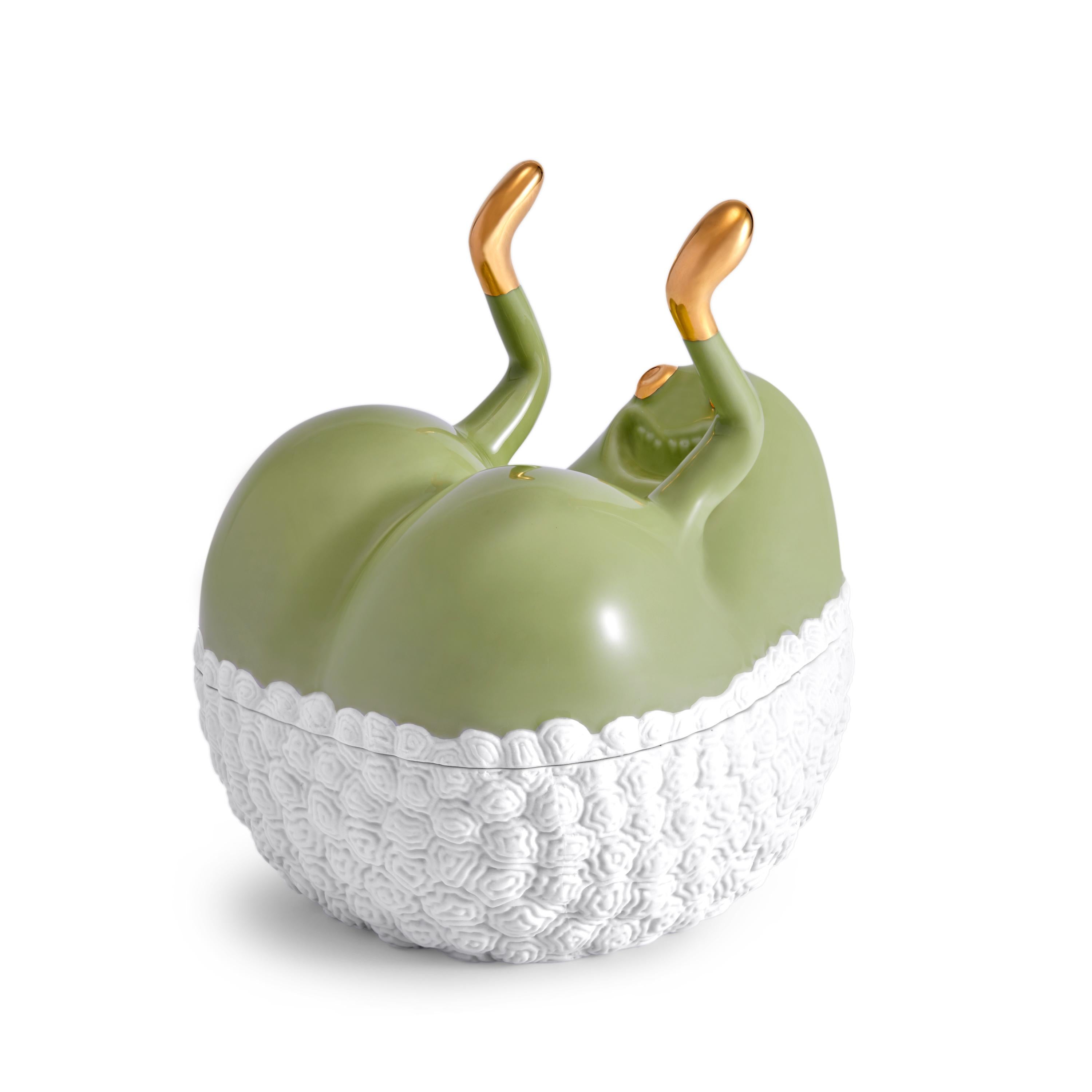 European Haas Butts Up Box - Matcha For Sale