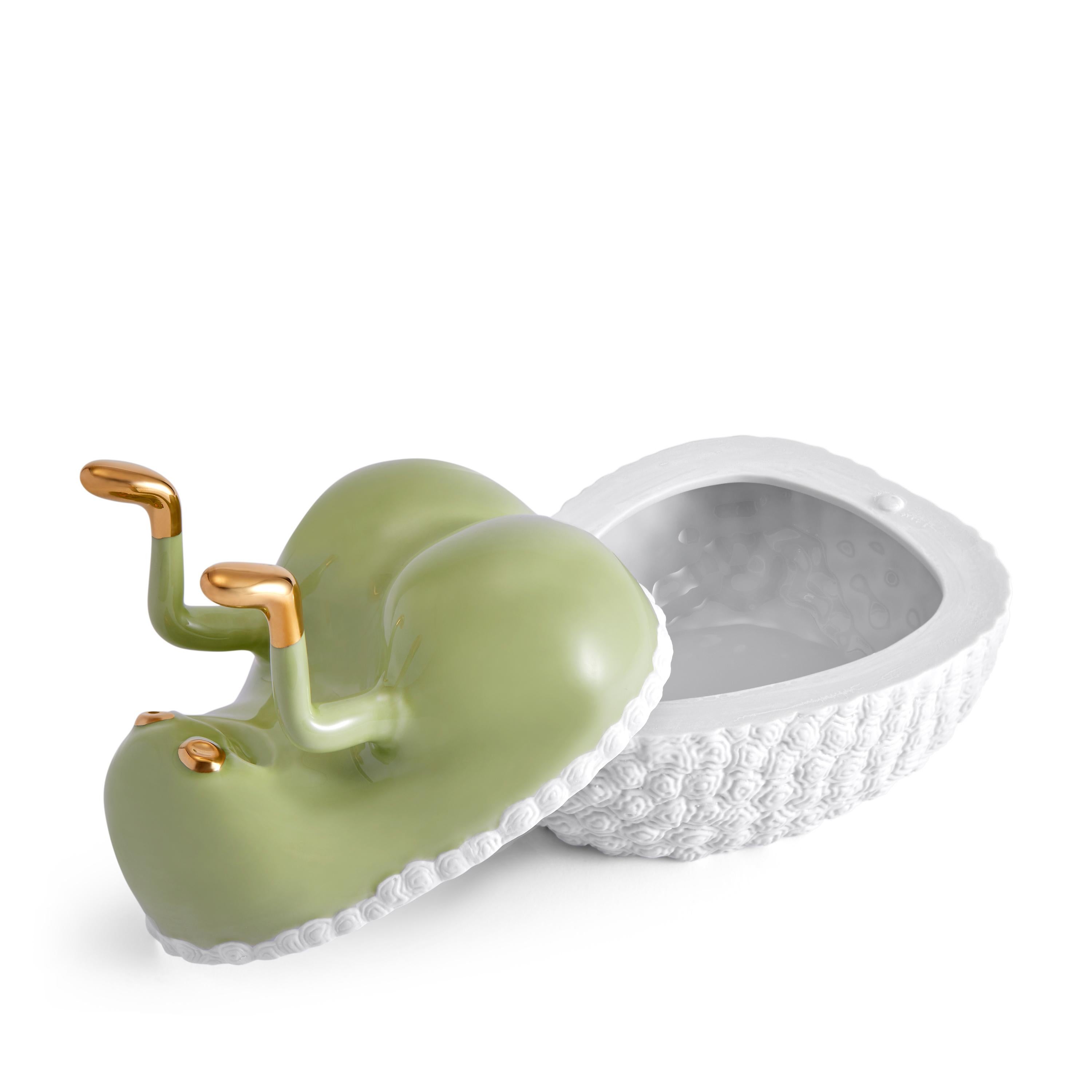 Contemporary Haas Butts Up Box - Matcha For Sale