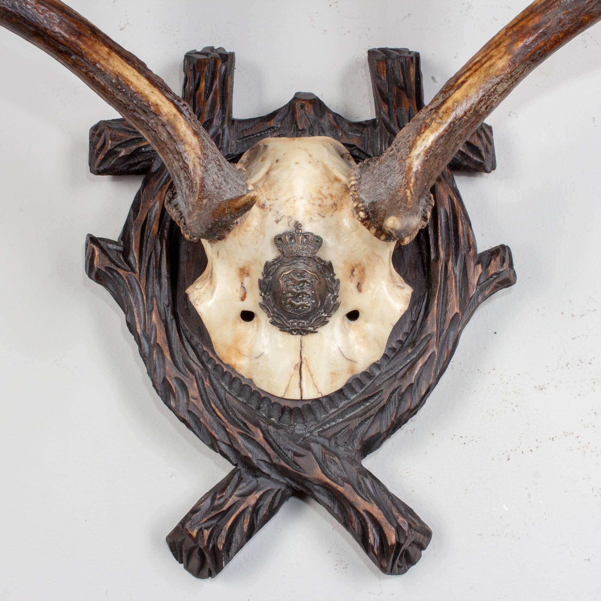19th century Austrian fallow deer trophy on original Black Forest carved plaque that hung in Emperor Franz Josef's castle at Eckartsau in the Southern Austrian Alps. Eckartsau was a favourite hunting schloss of the Habsburg family. The plaque itself