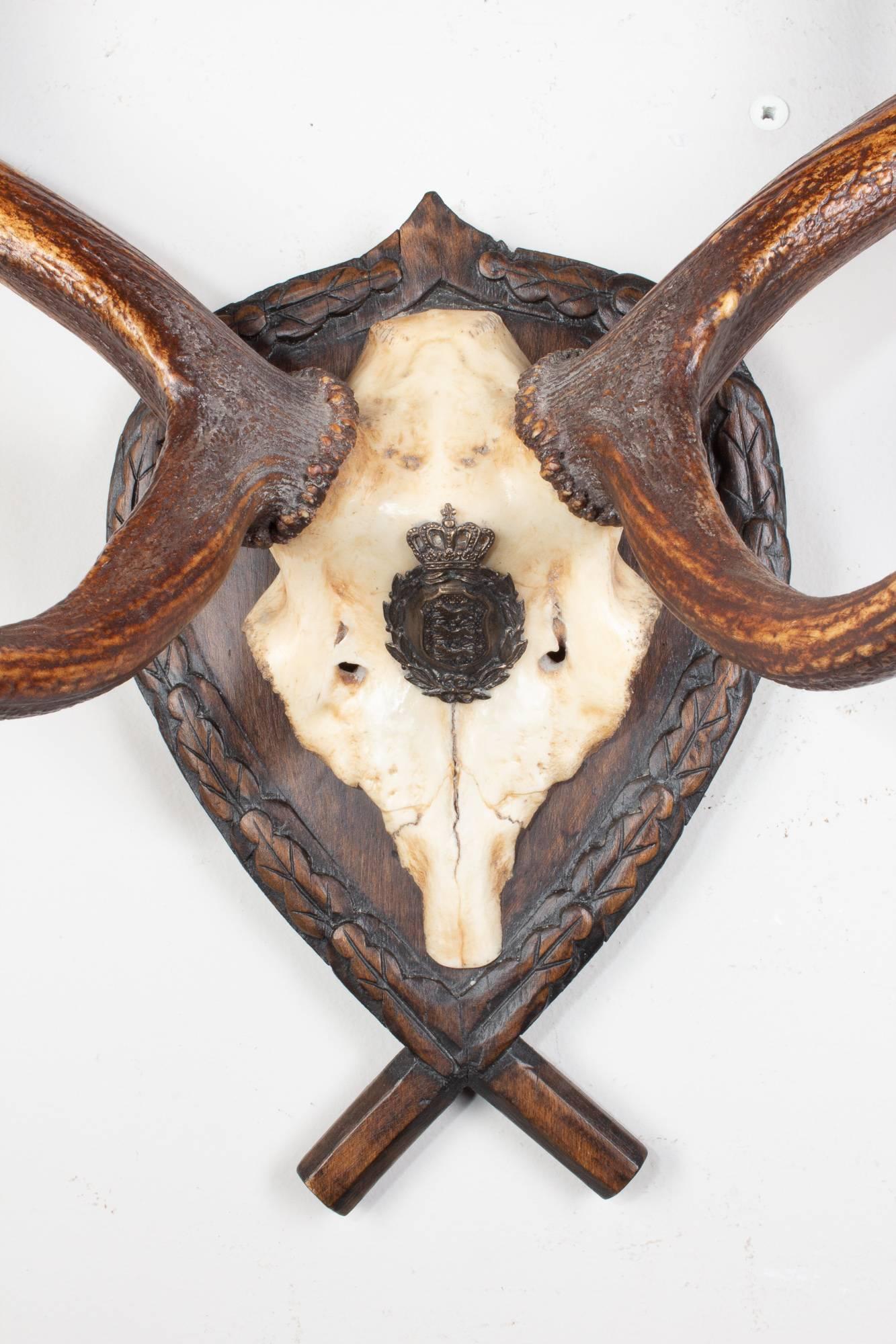 19th century Austrian fallow deer trophy on original Black Forest carved plaque that hung in Emperor Franz Josef's castle at Eckartsau in the Southern Austrian Alps. Eckartsau was a favorite hunting schloss of the Habsburg family. The plaque itself