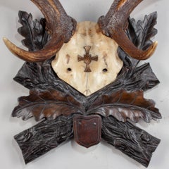 Habsburg Fallow Trophy of Emperor Franz Josef from Eckartsau Castle