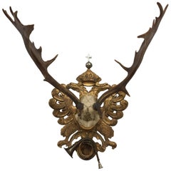 Habsburg Fallow Trophy on Hand Carved Gilt Plaque from Eckartsau Castle