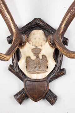 Habsburg Red Stag Trophy of Emperor Franz Josef from Eckartsau Castle