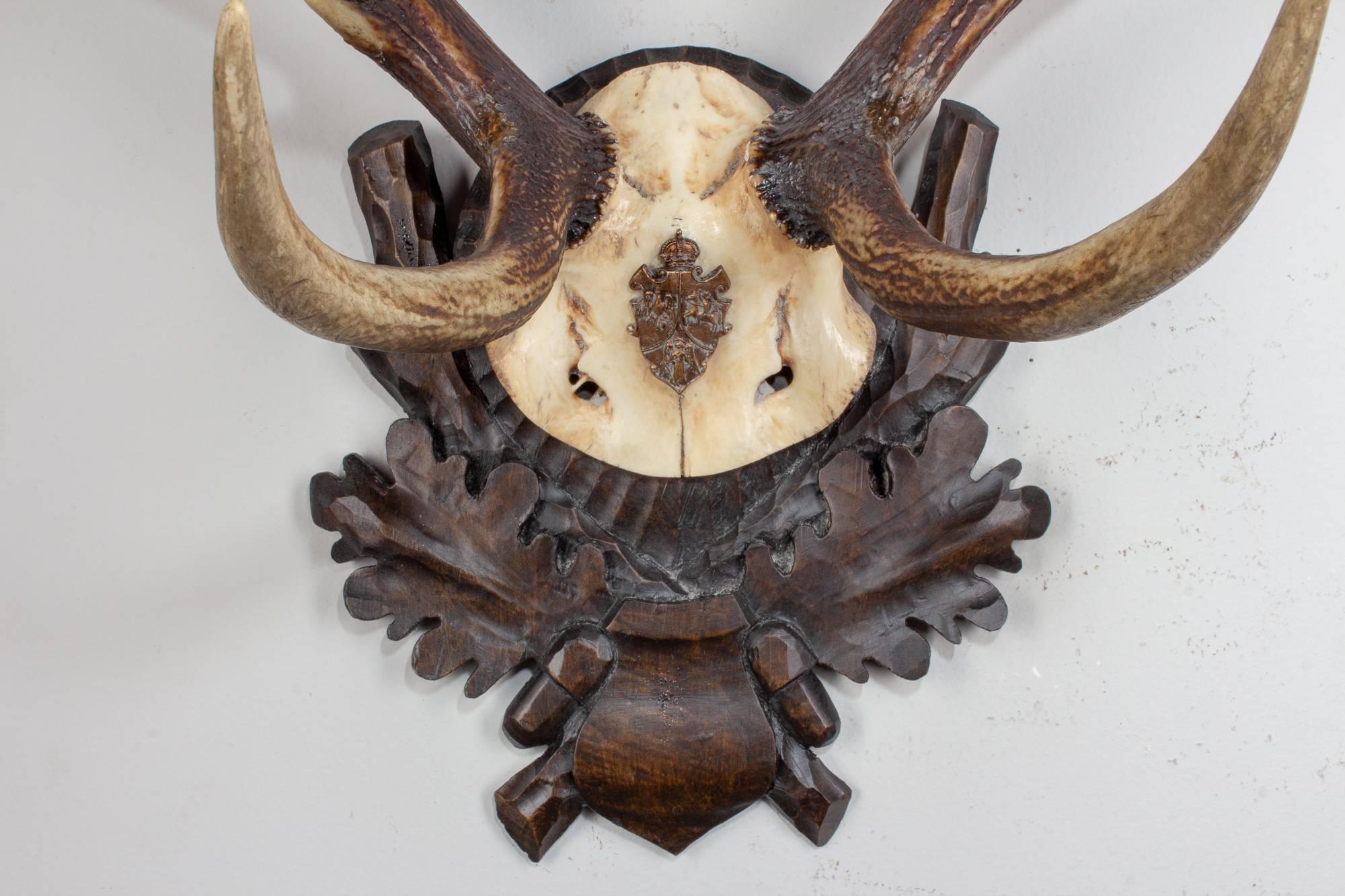 19th century Austrian Red Stag trophy on original Black Forest carved plaque that hung in Emperor Franz Josef's castle at Eckartsau in the Southern Austrian Alps. Eckartsau was a favourite hunting schloss of the Habsburg family. The plaque itself is