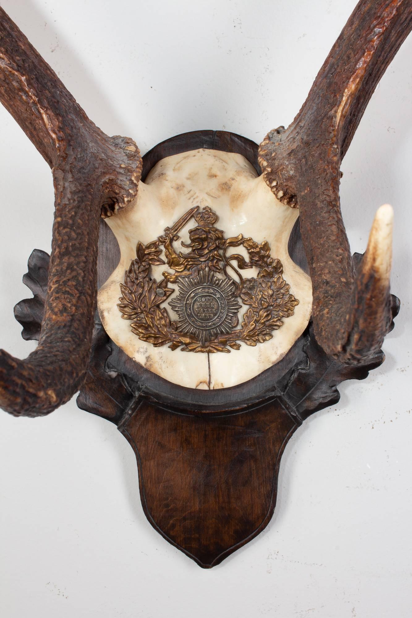 19th century Austrian fallow deer trophy on original Black Forest carved plaque that hung in Emperor Franz Josef's castle at Eckartsau in the Southern Austrian Alps. Eckartsau was a favourite hunting schloss of the Habsburg family. The plaque itself