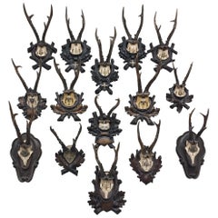 Black Forest Historical Memorabilia