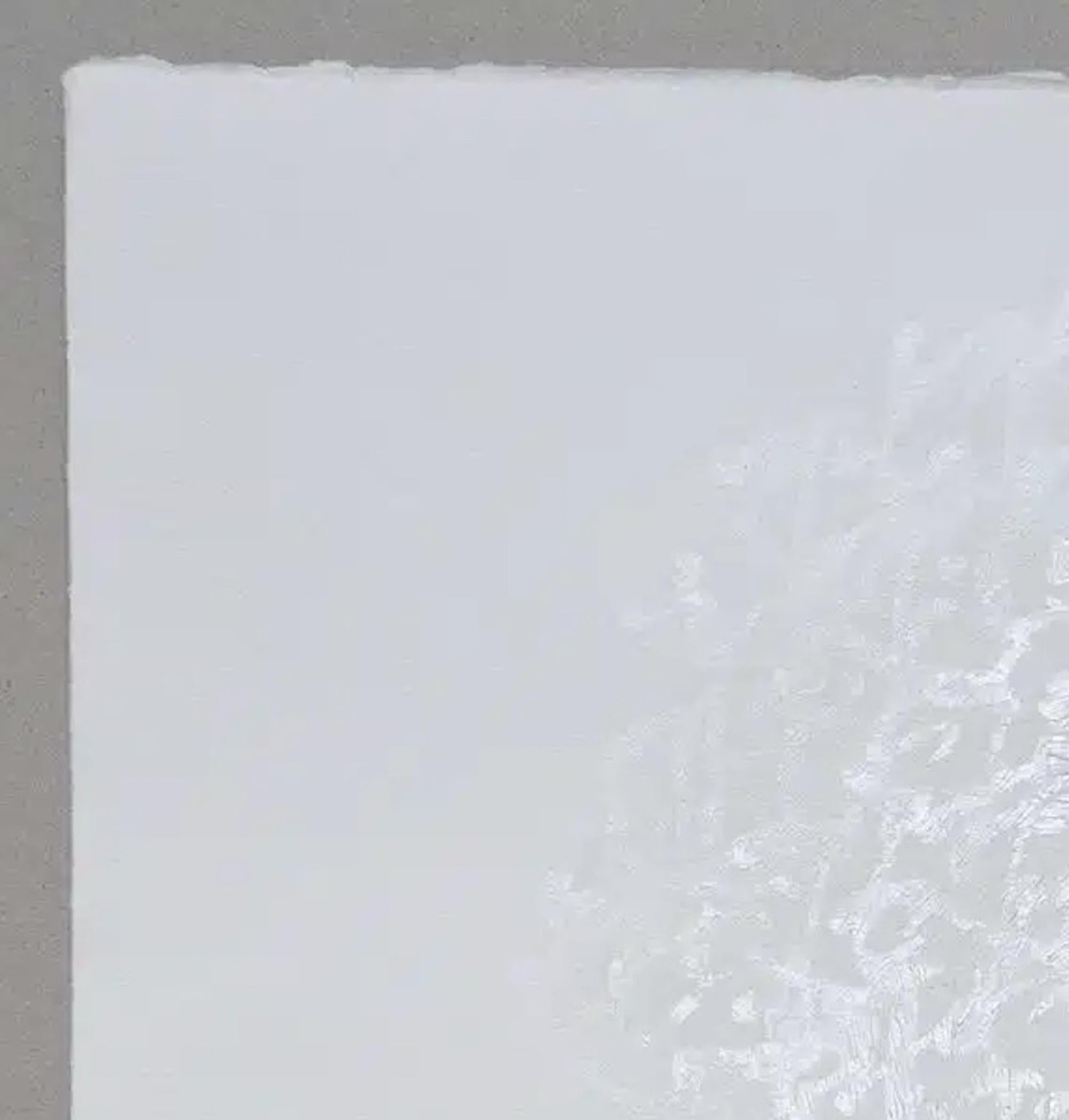 Permanescence N528 by Hachiro Kanno - Calligraphy, abstract painting, Japan For Sale 5