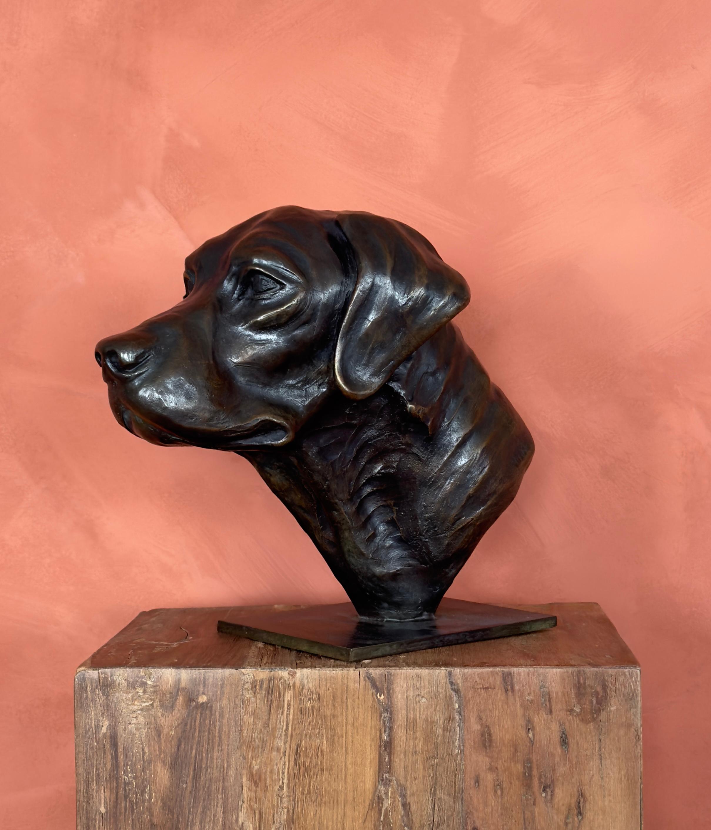 Ce portrait de labrador est une oeuvre de l'artiste contemporain Hadrien David. Il s'agît de l'épreuve "4/8", fondue par Chapon. 

 Hadrien David s’est formé très jeune à la sculpture auprès de son père, le maître José Maria David. Cherchant à se