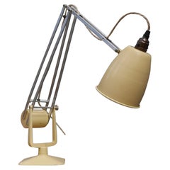 Hadrill Horstmann Counterbalance Desk Lamp