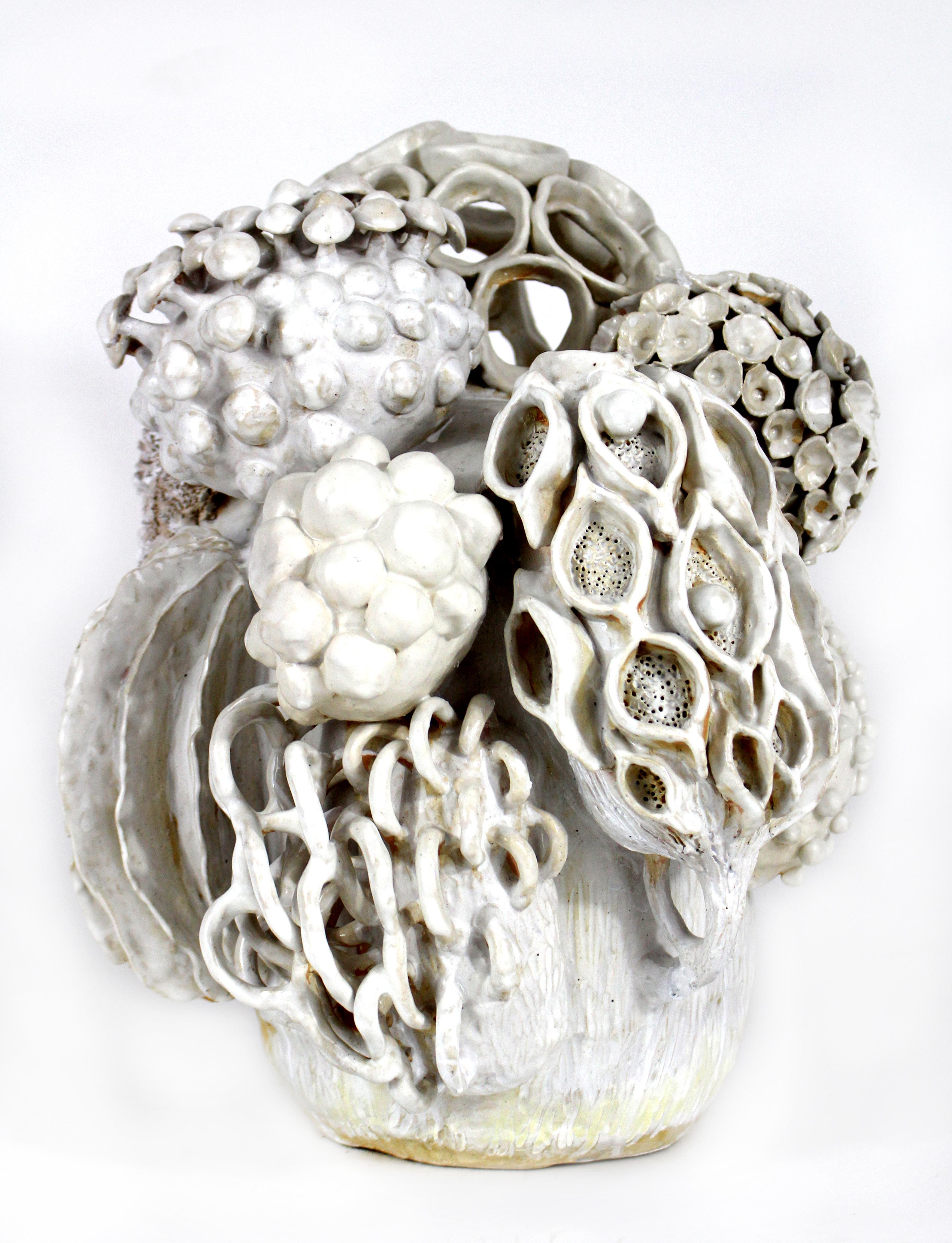 Trish DeMasi
Haeckel, 2019
Glazed ceramic
19 x 14 x 14 in