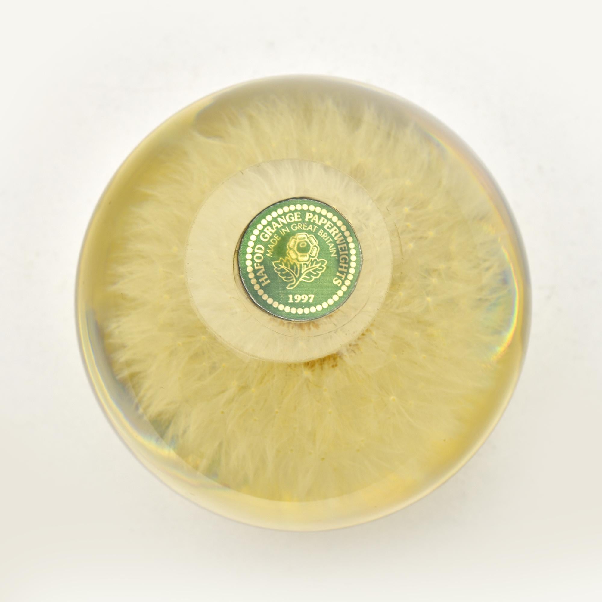Pisapapeles Diente de León Hafod Grange 1997 - Naturaleza encerrada en esfera de cristal Hecho a mano en venta