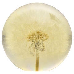 Hafod Grange 1997 Dandelion Paperweight – Nature Encased in Crystal Sphere