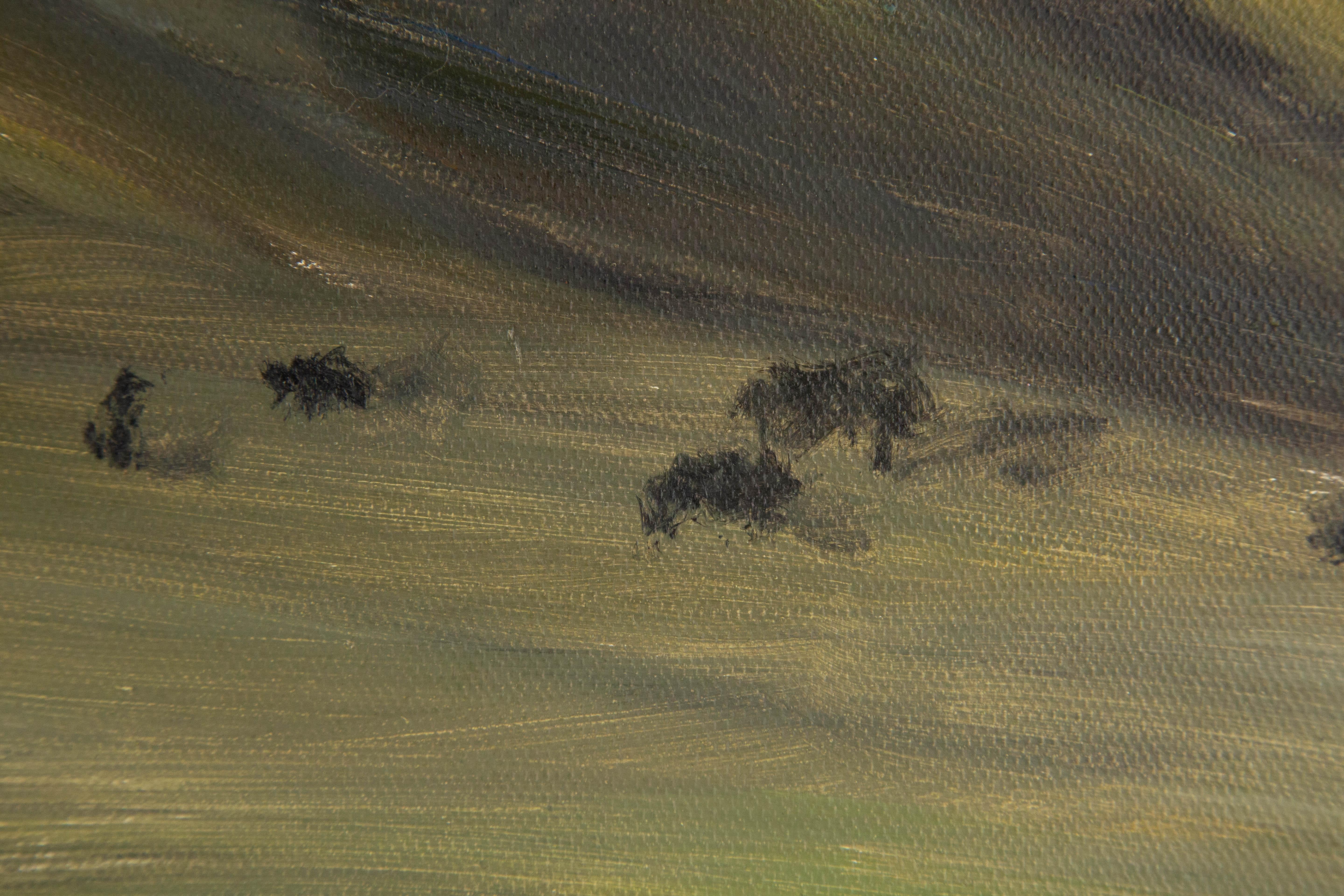 HaiBo Cao Landscape Original Oil On Canvas 
