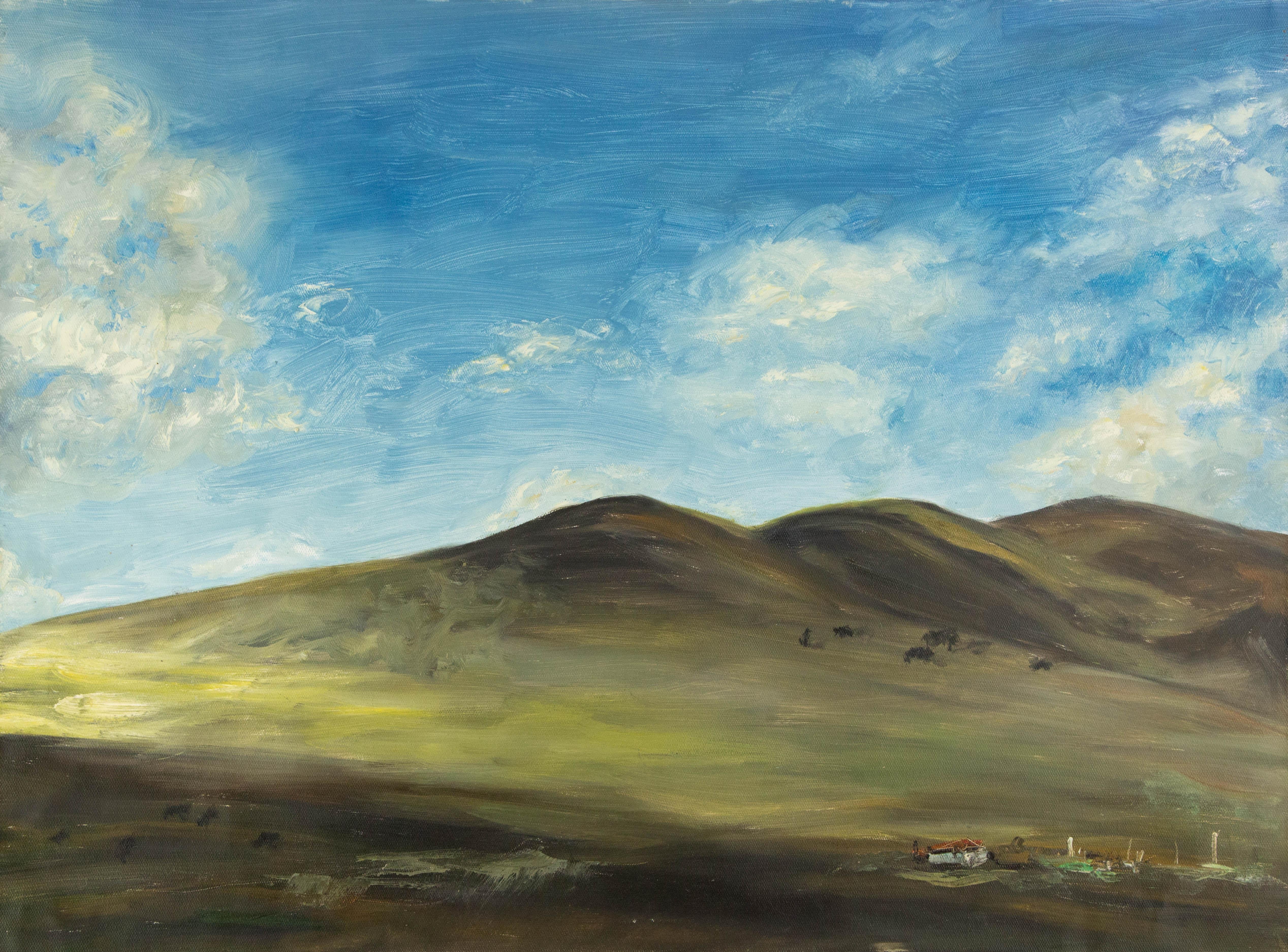  Title: Under The Sky
 Medium: Oil on canvas
 Size: 23 x 31 inches
 Frame: Framing options available!
 Condition: The painting appears to be in excellent condition.
 Note: This painting is unstretched
 Year: 2016
 Artist: HaiBo Cao
 Signature: