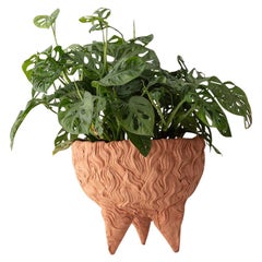 Hairy Bowl Tripod Handmade Unglazed Earthenware Planter Unique Edition