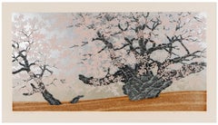 'Garyu no sakura' (The Lying Dragon Cherry Tree, Gifu) — Sosaku Hanga Woodblock