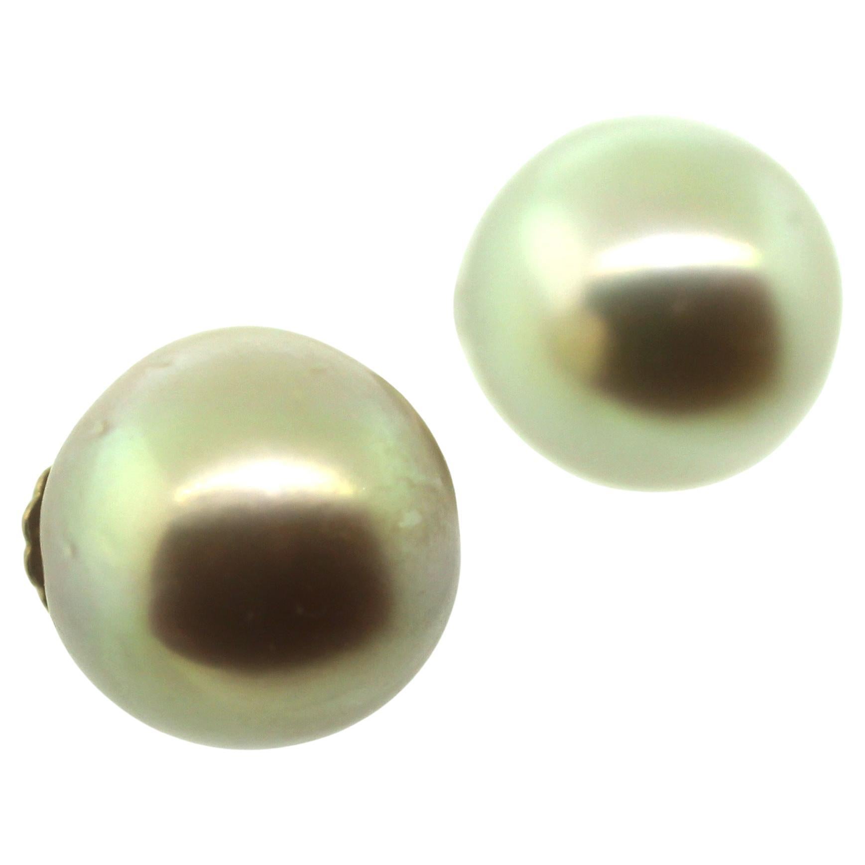 Hakimoto By Jewel Of Ocean
Natural color Golden South Sea Pearls Stud