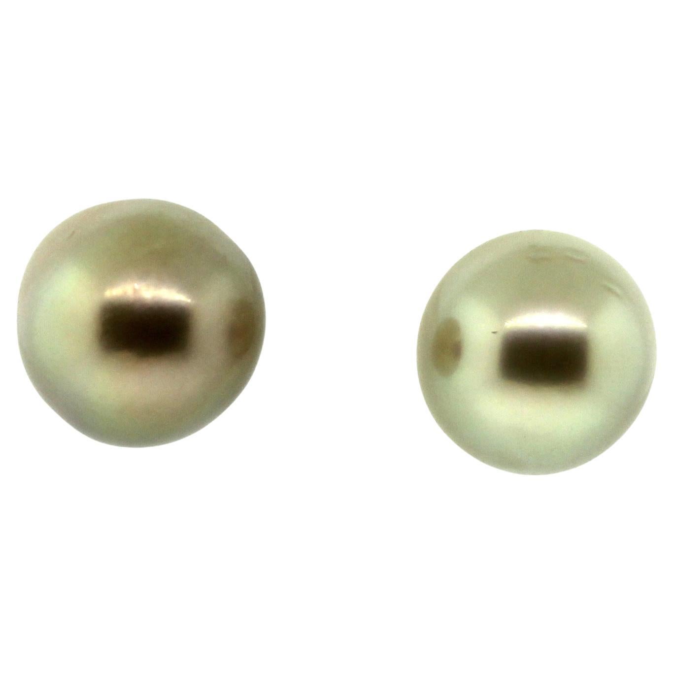 Modern Hakimoto 10.7mm Natural color Golden South Sea Pearls Stud For Sale