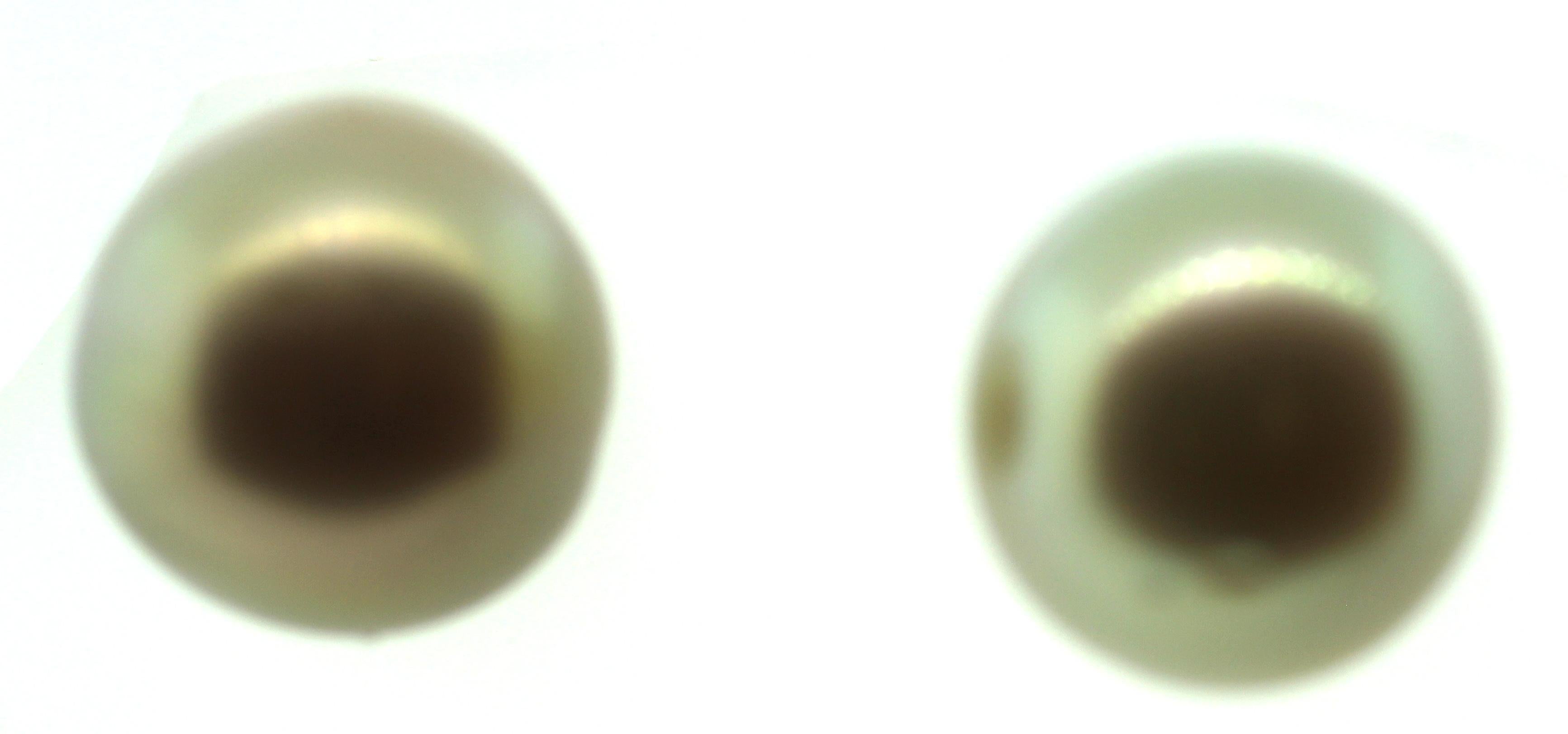 Bead Hakimoto 10.7mm Natural color Golden South Sea Pearls Stud For Sale