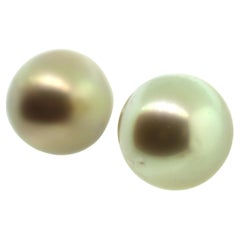 Hakimoto 10.7mm Natural color Golden South Sea Pearls Stud