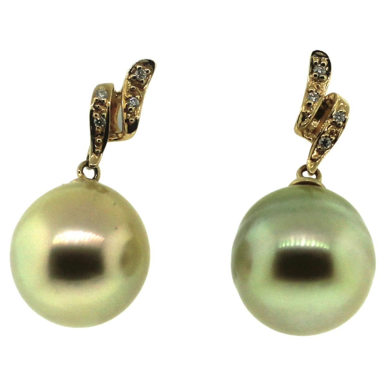 Hakimoto 18k Yellow Diamond Gold Natural Color 12 mm South Sea Pearl Earrings