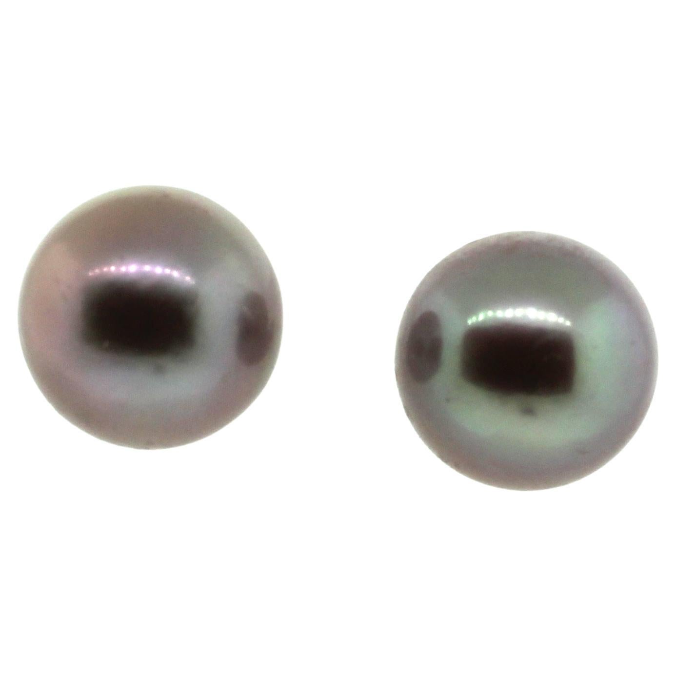 Hakimoto 18k White Gold 12.5 mm Fancy Metallic color pearl Stud Earrings For Sale