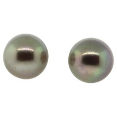 Hakimoto 12.6mm 18k Yellow Gold Natural Color Cultured Pearl Stud Earrings