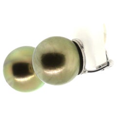 Hakimoto 13.5 mm Tahitian Rare Natural Pistachio Color 18K White Gold Earrings