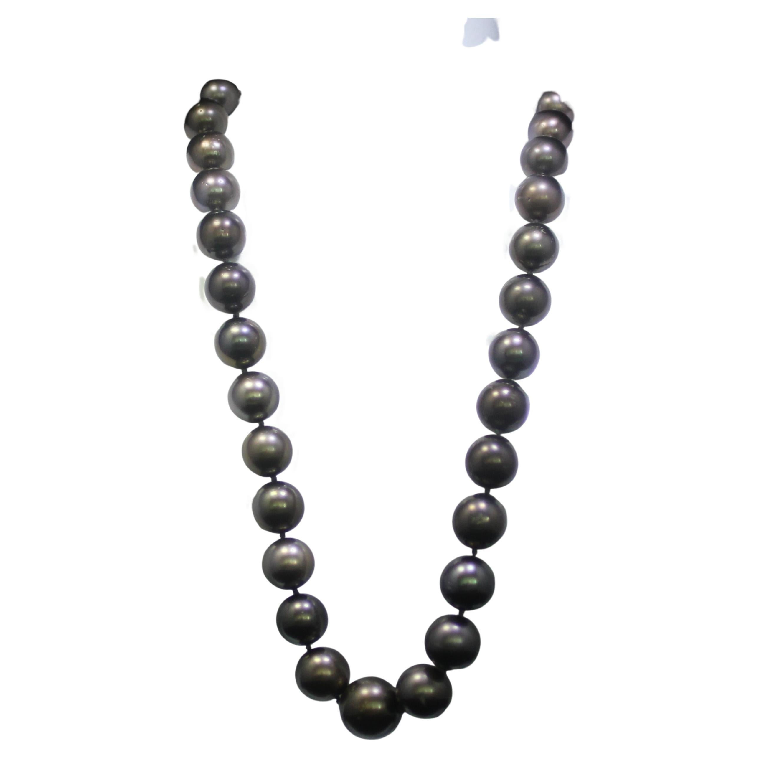 Femenino o masculino Hakimoto 18K Diamantes Completos Raro Color Natural  Collar Tahitiano Marrón 15.5x10mm en venta