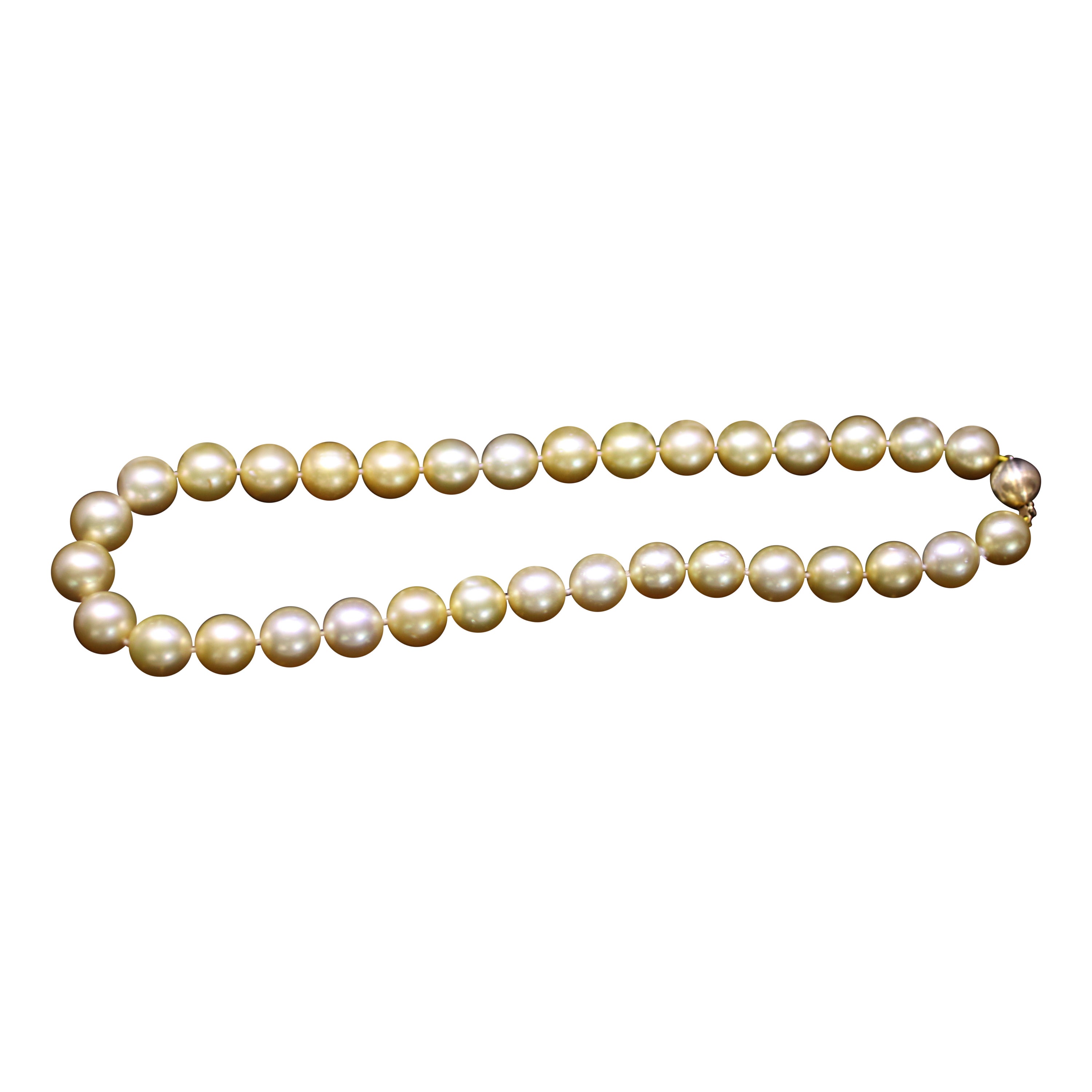 Hakimoto 18K natürliche Farbe Gold Südsee 12,6x11 mm Halskette (Moderne)