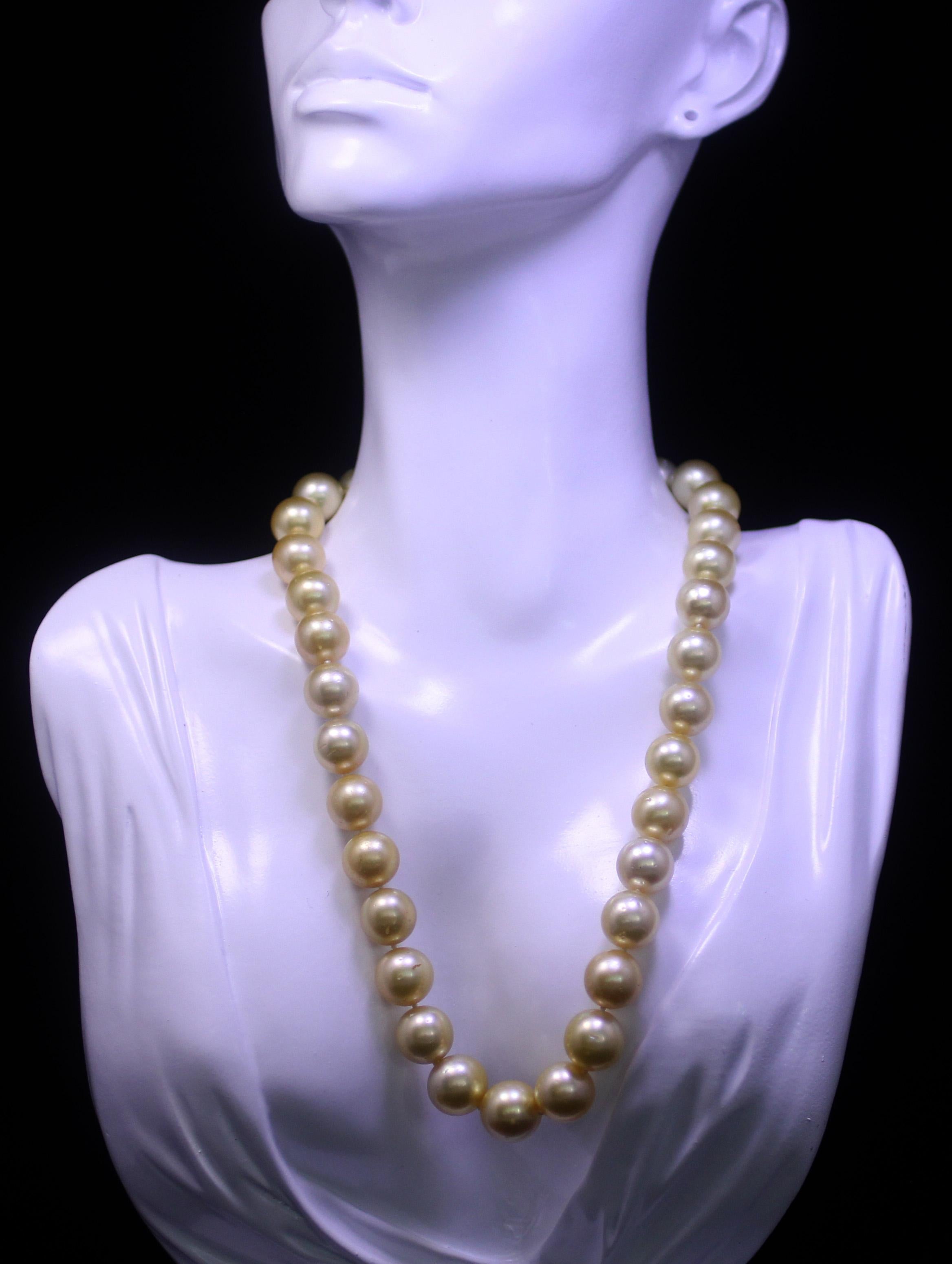 Hakimoto 18K natürliche Farbe Gold Südsee 12,6x11 mm Halskette Damen im Angebot