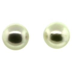 Hakimoto 18k White Gold Natural Color South Sea Pearl Earrings