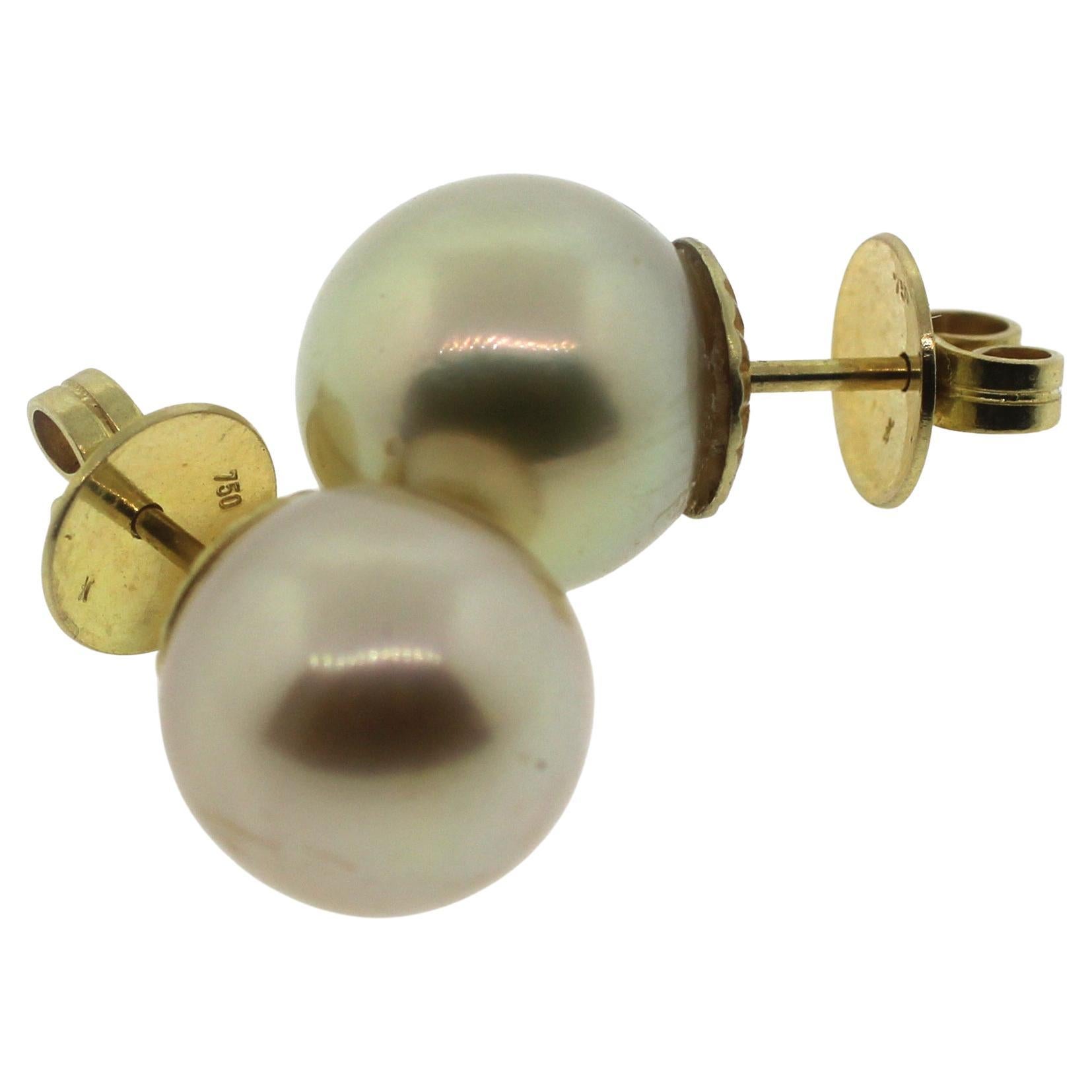 Bead Hakimoto 12 mm 18K Yellow Gold Natural Color South Sea Pearl Stud Earrings
