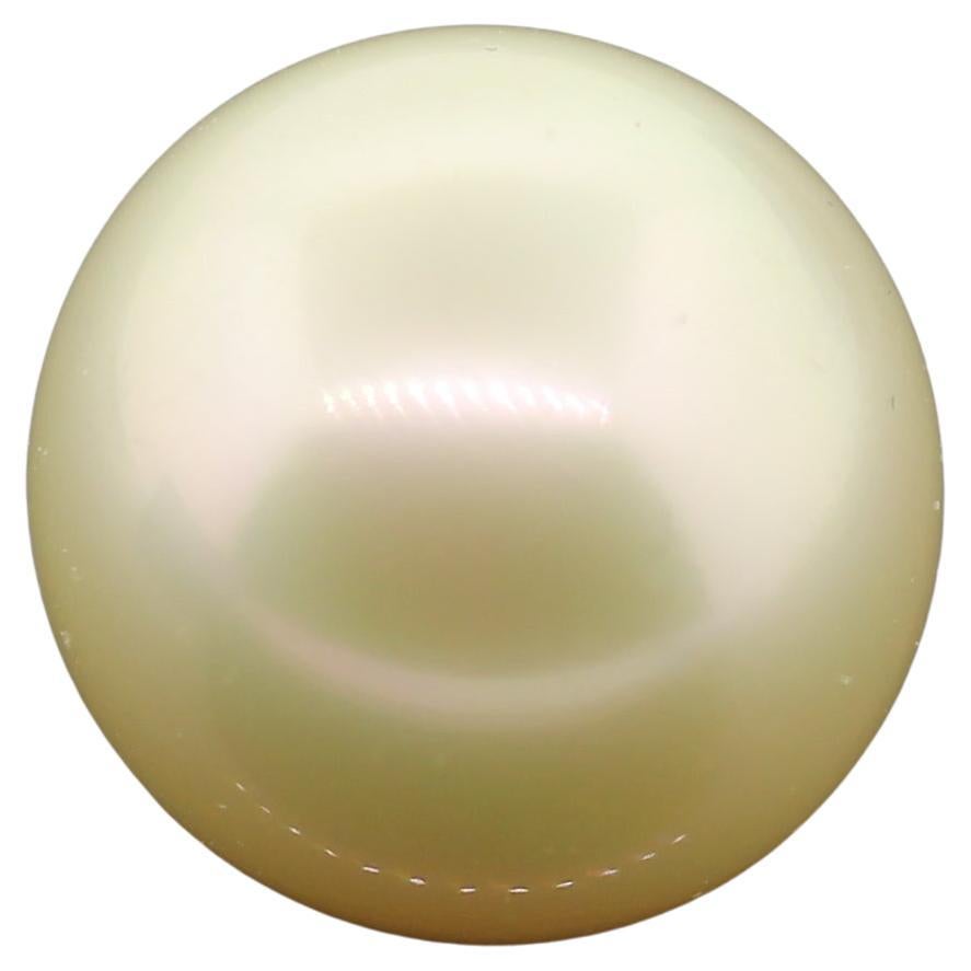 Hakimoto by Jewel Of Ocean 17.7 mm Special Gem Quality Round South Sea Pearl For Sale