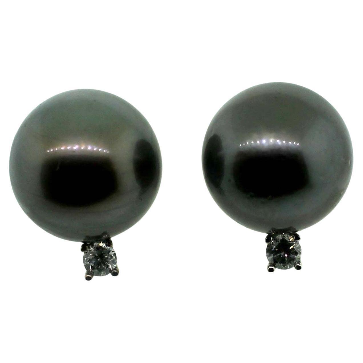 Hakimoto By Jewel Of Ocean Or 18 carats Perle des mers du Sud de Tahiti de 14 mm de diamètre Boucles d'oreilles