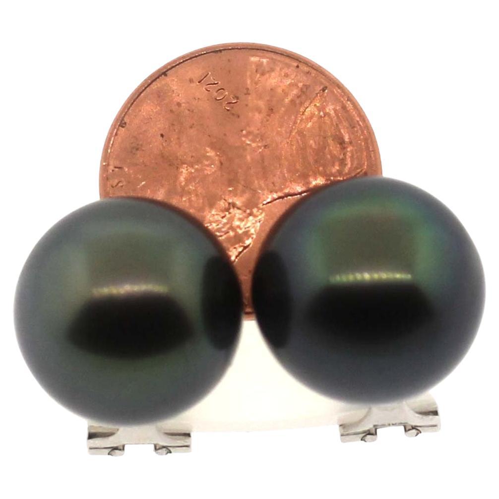Hakimoto 15 mm Large Size Tahitian Black South Sea Pearl 18K White Gold Clip For Sale 2